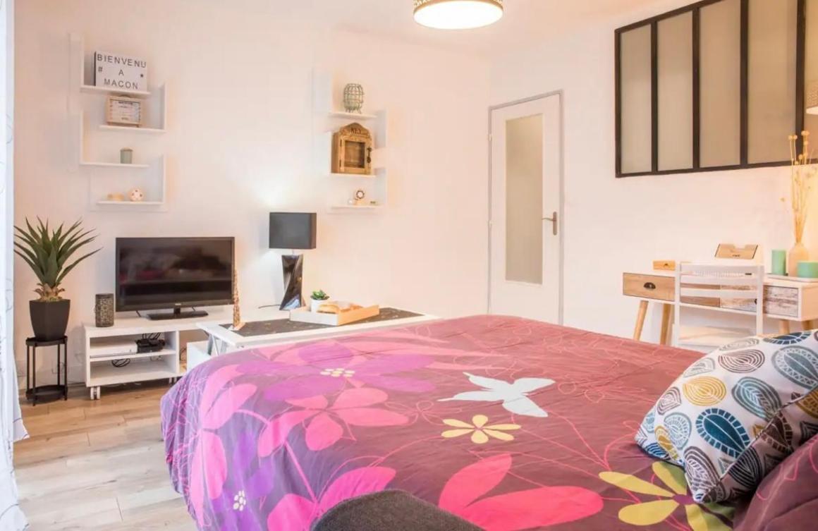 Charmant Appartement T1 Mâcon Екстериор снимка